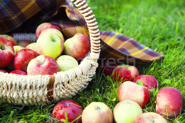 здорового органический яблоки корзины фото группа Сток-фото © maknt