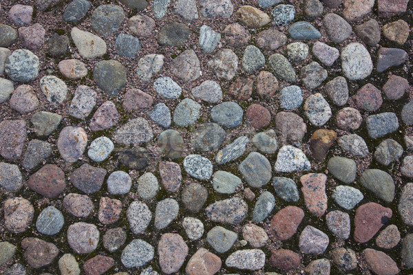 Paving stone on the road Stock photo © maknt