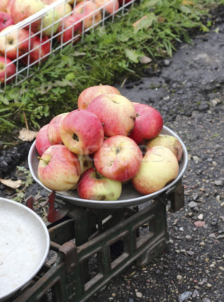 Stock photo: Overripe apples on the old scales 