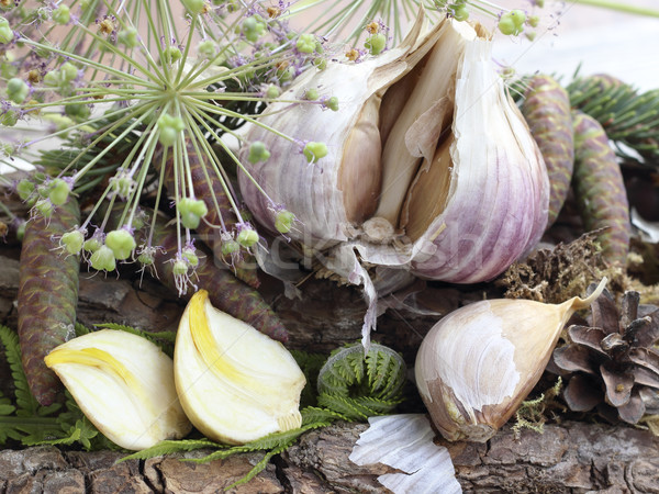Kurutulmuş sarımsak karanfil büyümüş gıda Stok fotoğraf © Makse