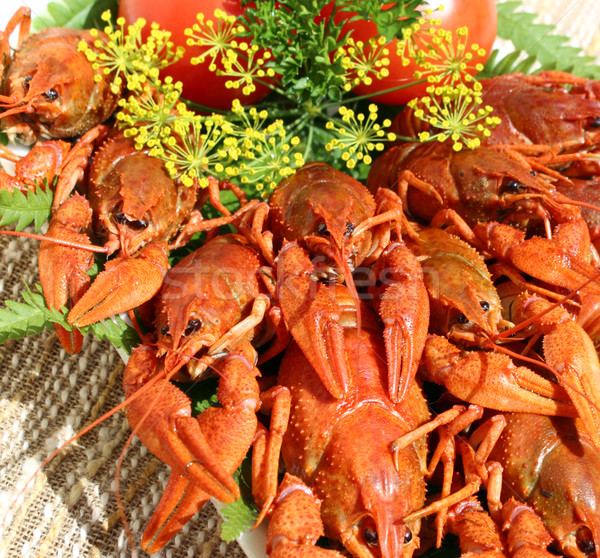 Cooked crayfish Stock photo © Makse