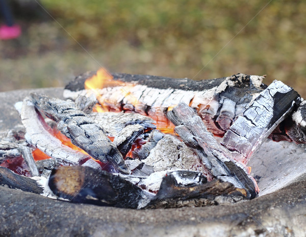 Feu de camp flamme brûlant arbre feu Photo stock © Makse