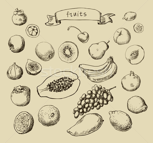 Dibujado a mano vector establecer garabato frutas álbum de recortes Foto stock © Mamziolzi