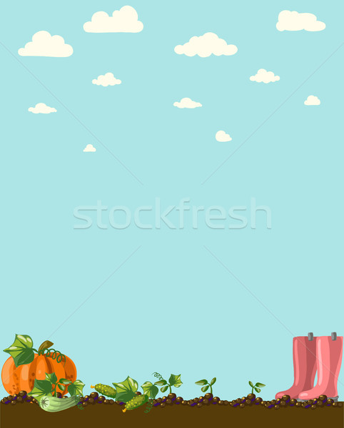Vintage garden banner with root veggies Stock photo © Mamziolzi