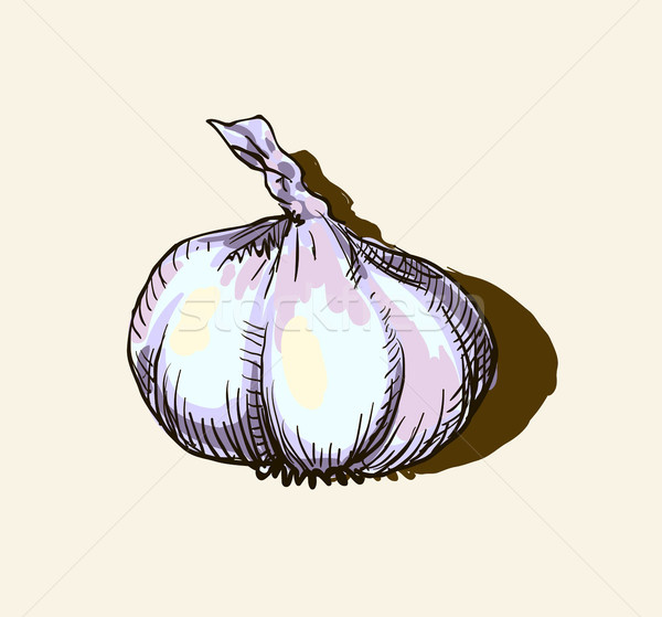 Stock photo: Vector garlic