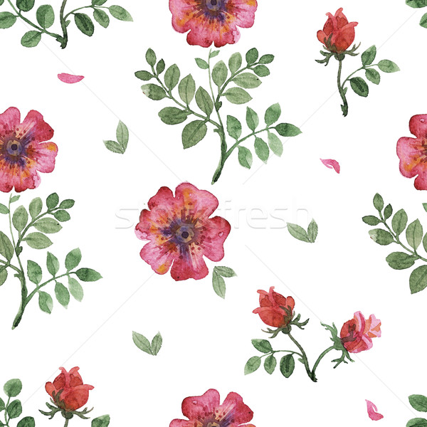 Foto d'archivio: Fiori · acquerello · pattern · floreale · rosa