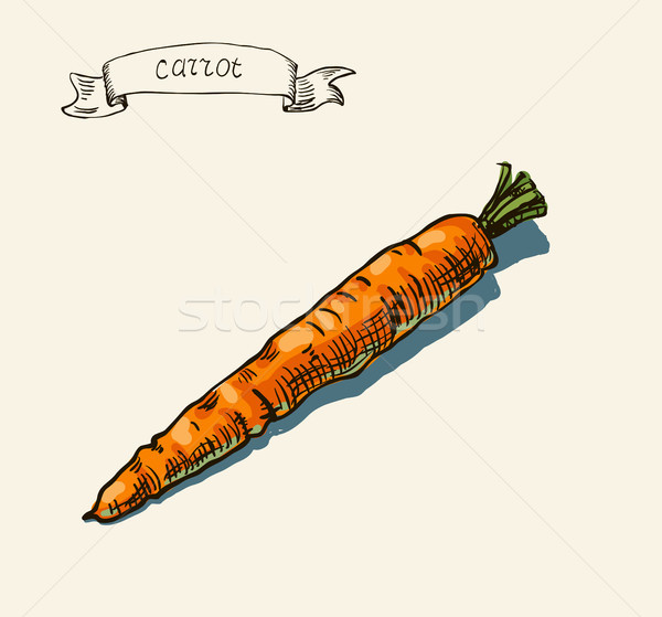 商業照片: 手工繪製 · 復古 · 插圖 · 胡蘿蔔 · 向量 · 水彩畫