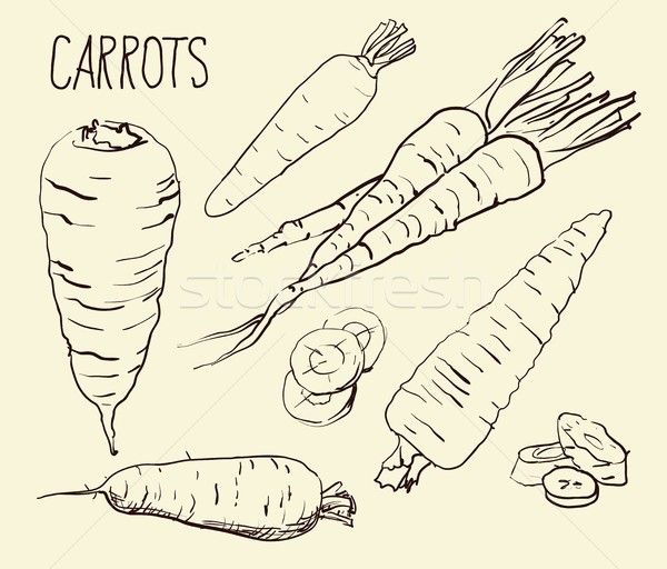 Set carrots isolated on white background. Vegetables. Food. Hand drawn. Silhouette, color, line art  Stock photo © Mamziolzi