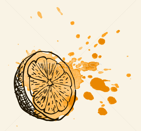 Foto stock: Dibujado · a · mano · vintage · ilustración · naranja · vector · acuarela