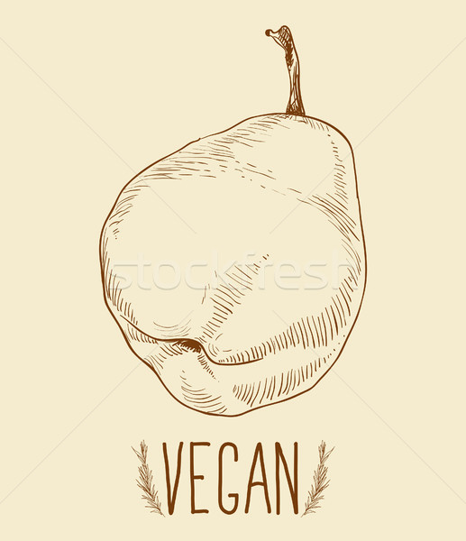 Pear fruit - vintage illustration Stock photo © Mamziolzi