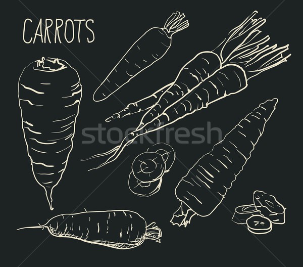 Set carrots isolated on white background. Vegetables. Food. Hand drawn. Silhouette, color, line art  Stock photo © Mamziolzi