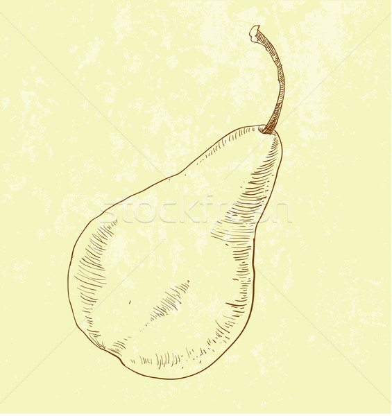 Pear fruit - vintage illustration Stock photo © Mamziolzi