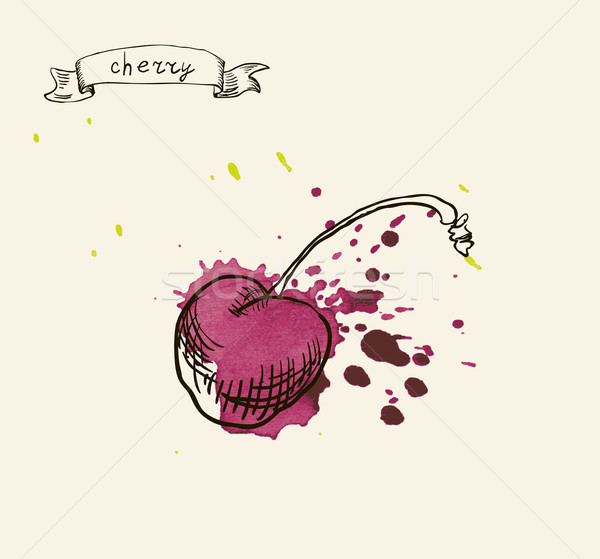 hand drawn vintage illustration of cherry Stock photo © Mamziolzi