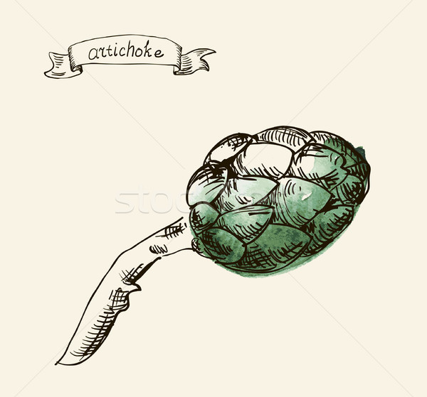 green fresh useful eco-friendly artichoke Stock photo © Mamziolzi