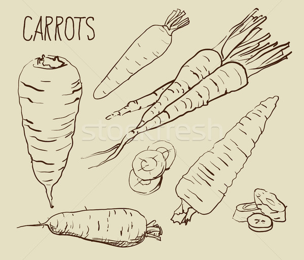 Set carrots isolated on white background. Stock photo © Mamziolzi