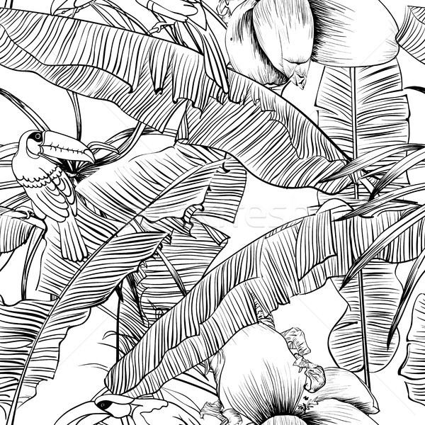 Seamless tropical pattern with banana palms coloring book Stock photo © Mamziolzi