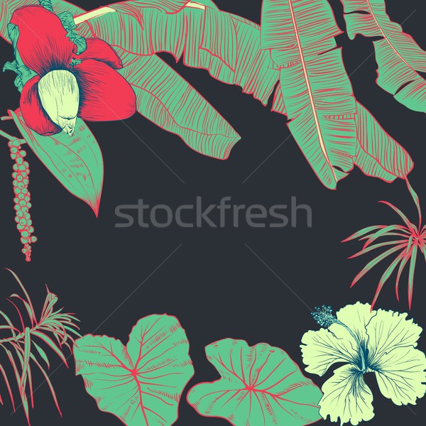 Foto stock: Tropical · plantas · banana · folhas · flor