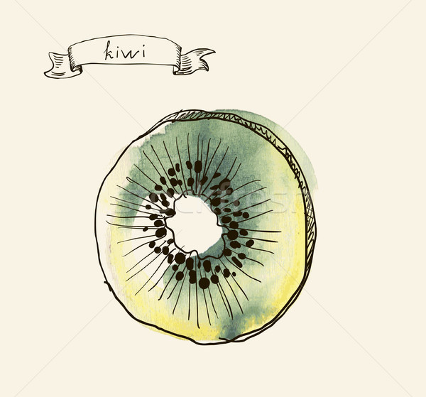 Stock photo: Cut kiwi fruit and whole kiwi isolated on white