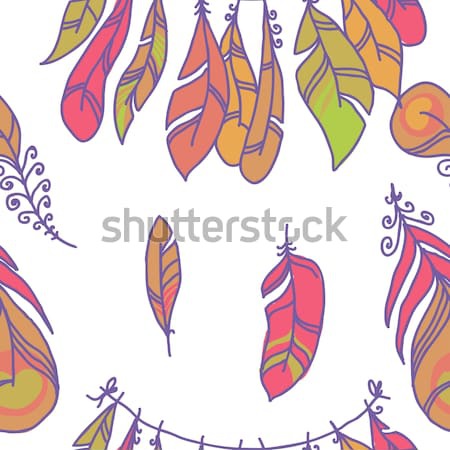 Vector Seamless Pattern of Plumage Stock photo © Mamziolzi