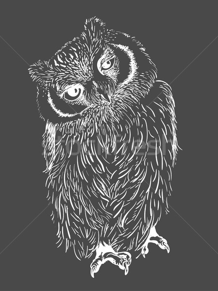 手工绘制 · 黑白 · 孤立 · 抽象 · 设计 / owl hand drawn, black