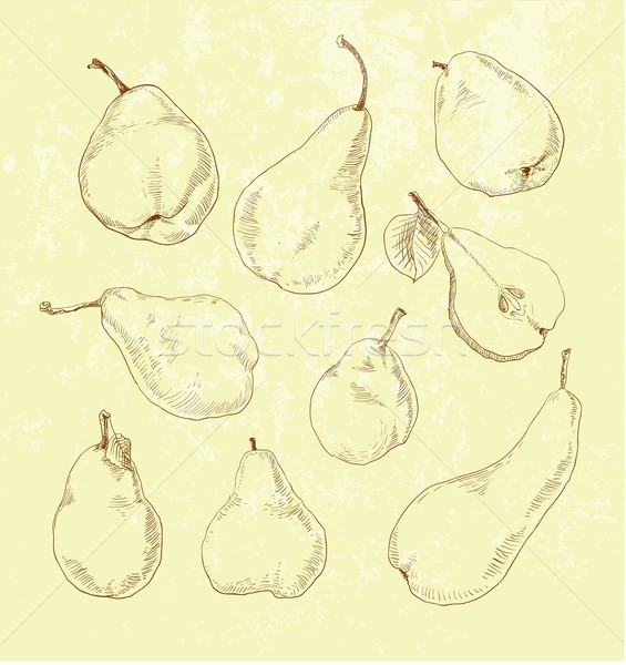 Pear fruit - vintage illustration set Stock photo © Mamziolzi