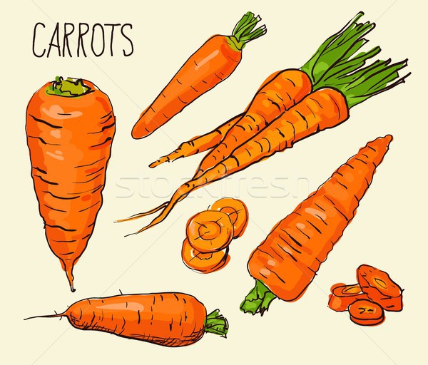 Set carrots isolated on white background. Vegetables. Food. Hand drawn. Silhouette, color, line art  Stock photo © Mamziolzi