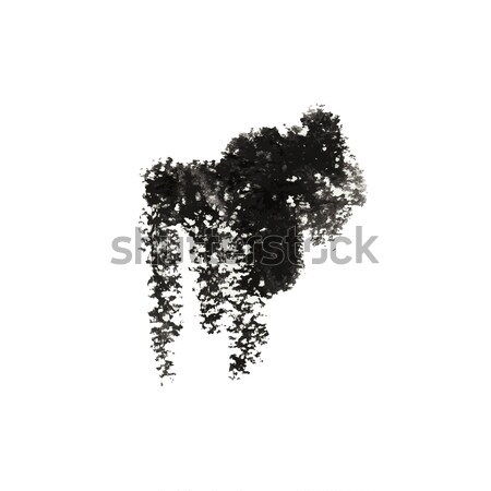 Grunge Pinsel Set Vektor schwarz modernen Stock foto © Mamziolzi