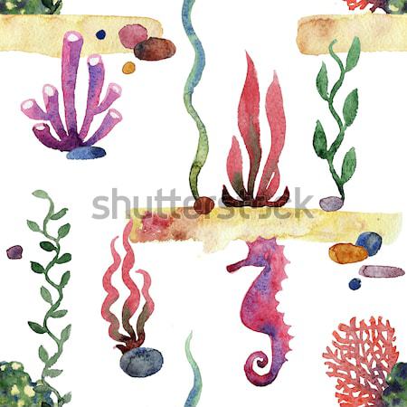 Watercolor sea sponge Stock photo © Mamziolzi