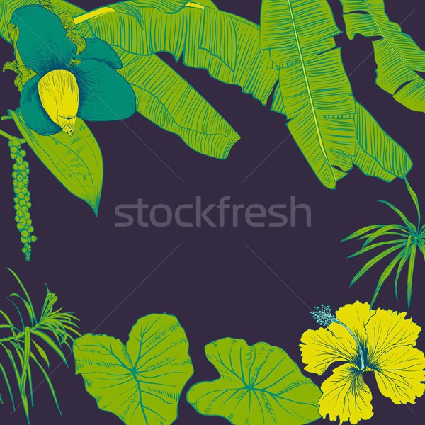 Stock fotó: Kézzel · rajzolt · trópusi · növények · banán · levelek · virág
