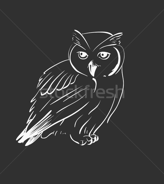 Owl hand drawn, black and white Stock photo © Mamziolzi