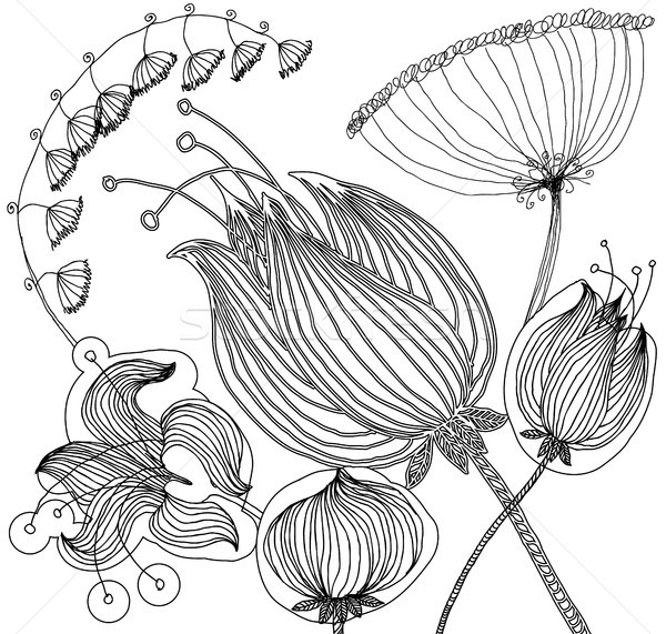 Set of floral graphic design elements for coloring book Stock photo © Mamziolzi