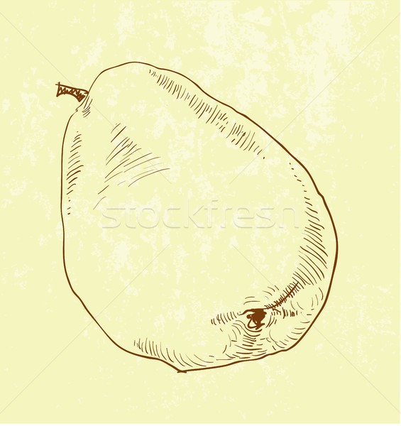 Pear fruit - vintage illustration Stock photo © Mamziolzi