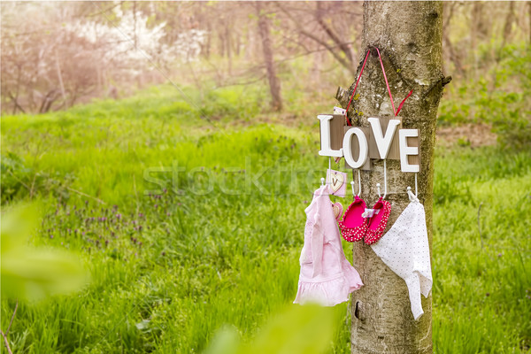 Foto d'archivio: Rosa · abito · impiccagione · albero · amore