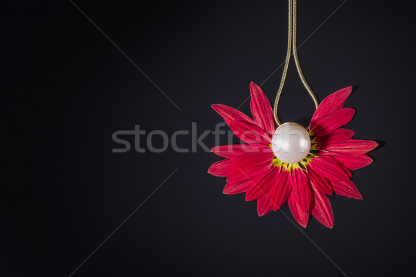 白 珍珠 項鍊 紅色 花瓣 黑白 商業照片 © manaemedia