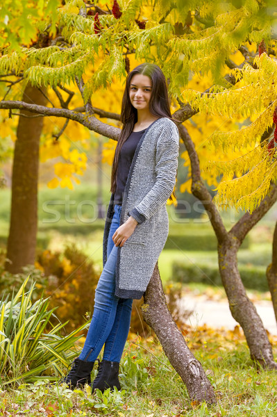 Portret dość teen girl jesienią parku uśmiechnięty Zdjęcia stock © manaemedia