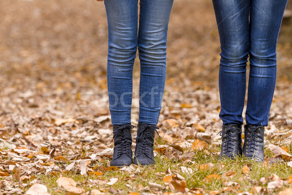 Two girls legs in boots on autumn leaves Stock photo © manaemedia