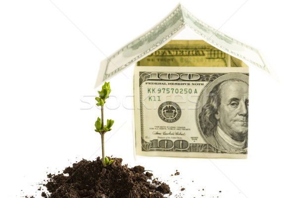Investitionen Haus Geld Hintergrund grünen Stock foto © manaemedia