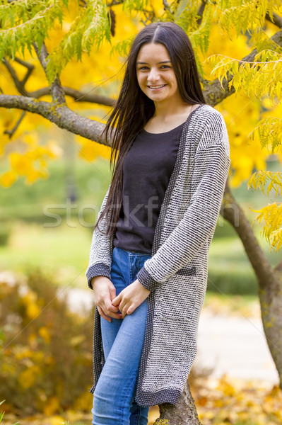 Portret dość teen girl jesienią parku uśmiechnięty Zdjęcia stock © manaemedia