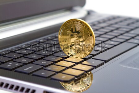 Photo Golden Bitcoin (new virtual money ) Stock photo © manaemedia