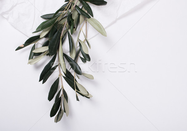 Olive branches on white tabletop Stock photo © manera