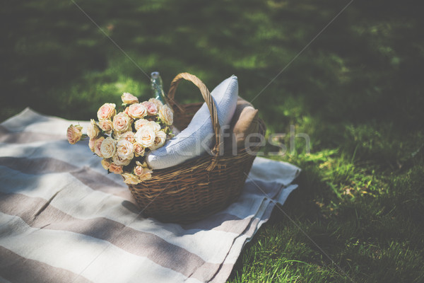 Spring picnic in a park Stock photo © manera