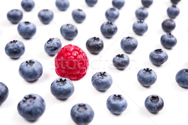 Fruits différence framboise bleuets isolé macro Photo stock © manera