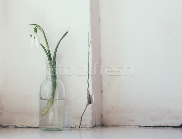 Fiori di primavera bianco vintage vetro bottiglie vecchio Foto d'archivio © manera