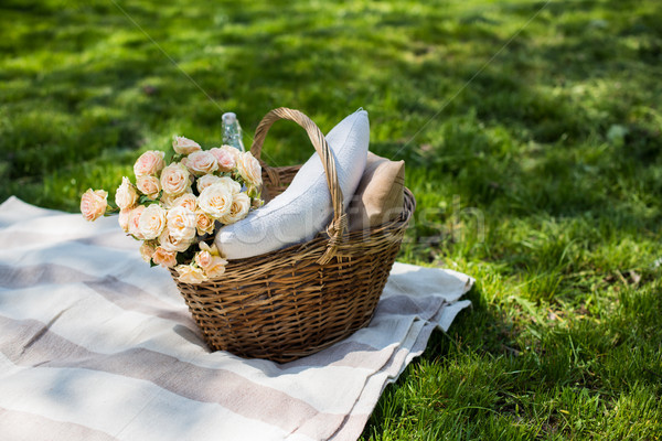 Spring picnic in a park Stock photo © manera