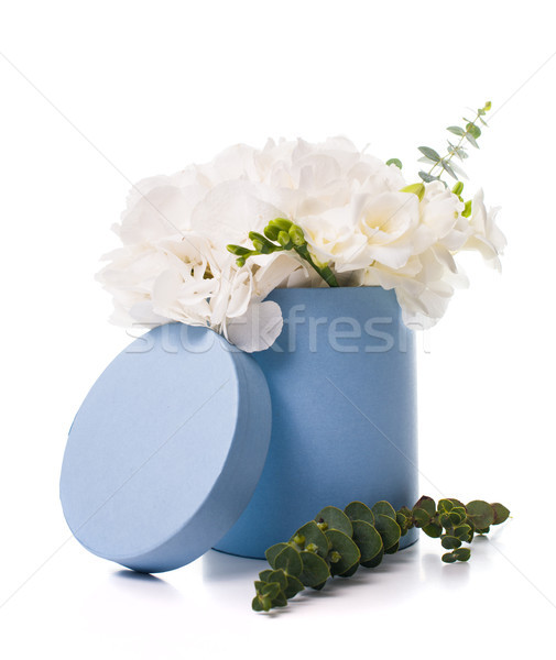 Stock photo: Bouquet of white hydrangeas in round  blue box 