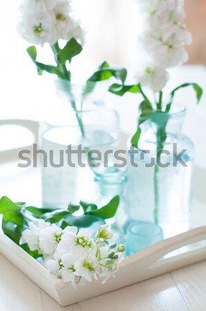 Stockfoto: Bloemen · witte · vintage · glas · flessen · houten