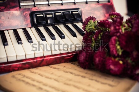Accordion keys Stock photo © manera