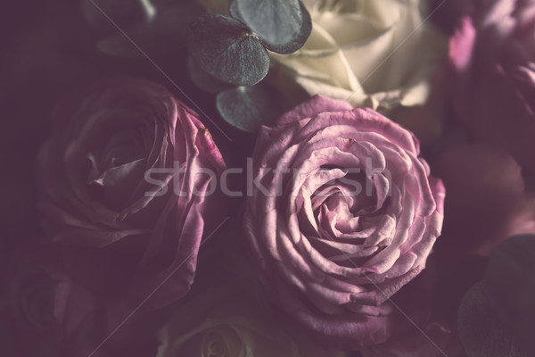 Elegancki bukiet różowy biały róż ciemne Zdjęcia stock © manera