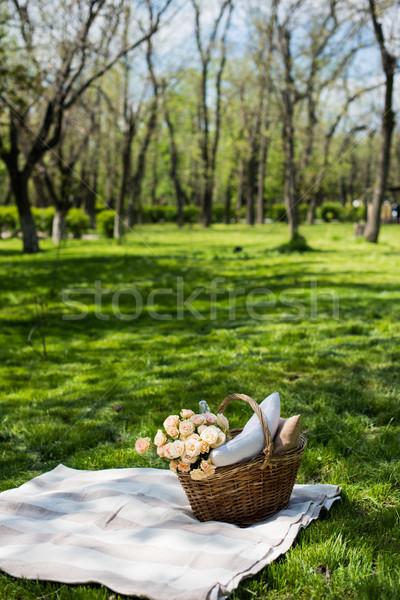 Spring picnic in a park Stock photo © manera