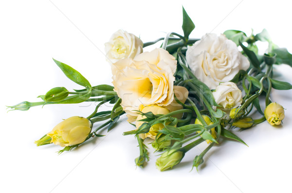 Stock fotó: Virágcsokor · citromsárga · virágok · virág · tavasz · természet